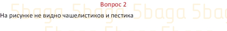 Естествознание Часть 1 Бигазина П.К. 4 класс 2019 Вопрос 2