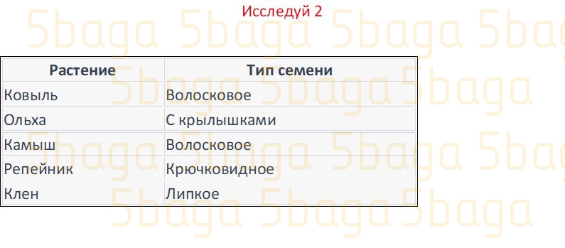 Естествознание Часть 1 Бигазина П.К. 4 класс 2019 Вопрос 2