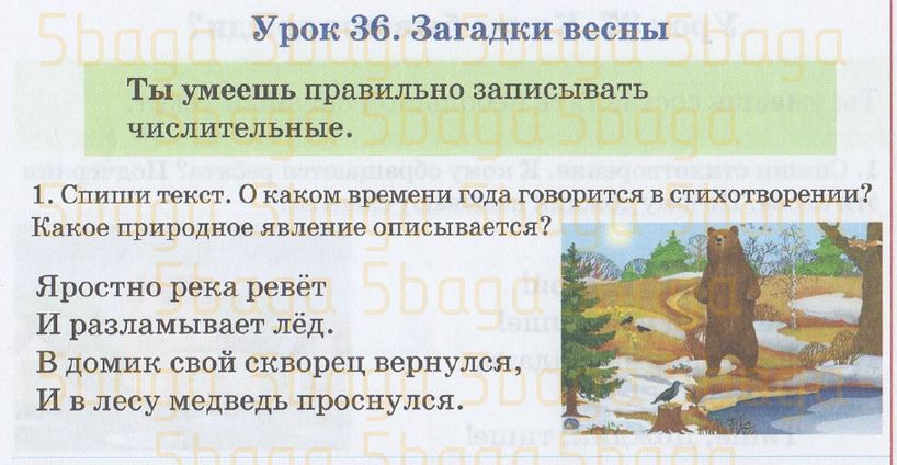 Русский язык Рабочая тетрадь №2 Калашникова 4 класс 2019 Упражнение 1